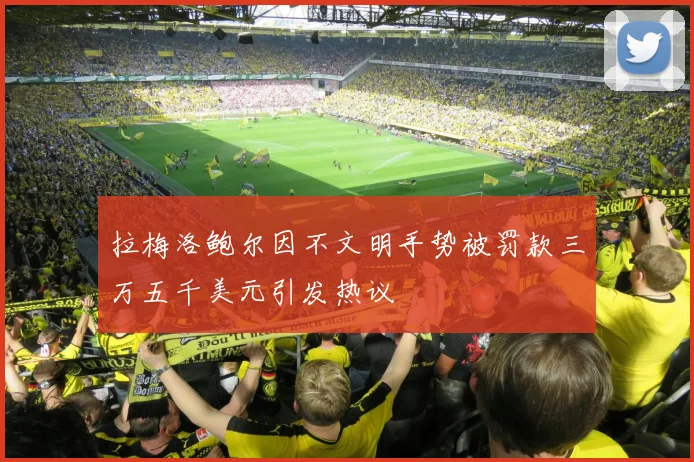 拉梅洛鲍尔因不文明手势被罚款三万五千美元引发热议