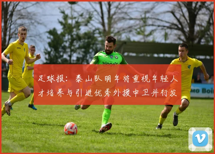 足球报：泰山队明年将重视年轻人才培养与引进优秀外援中卫并行发展
