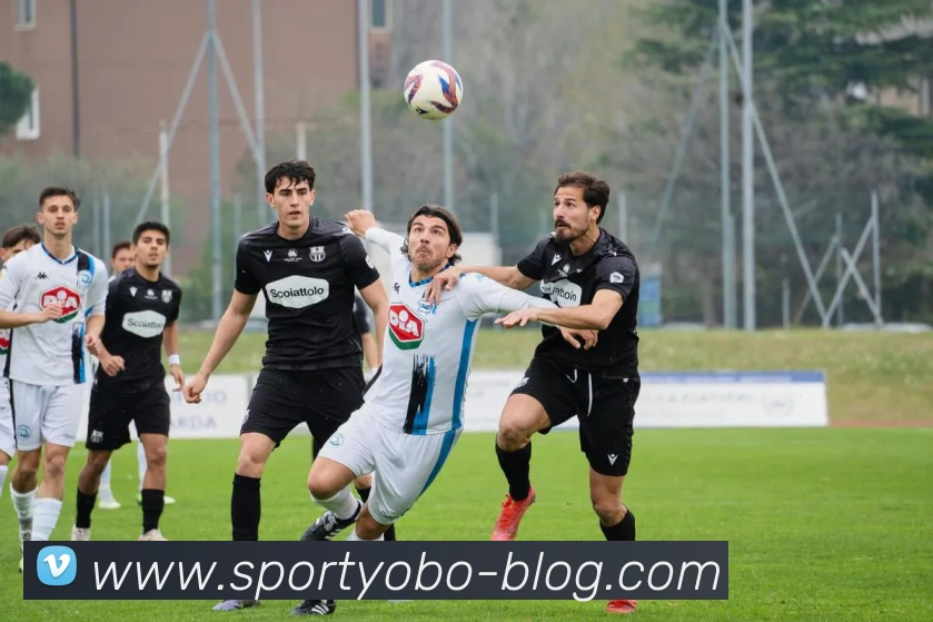 yobo体育品牌故事